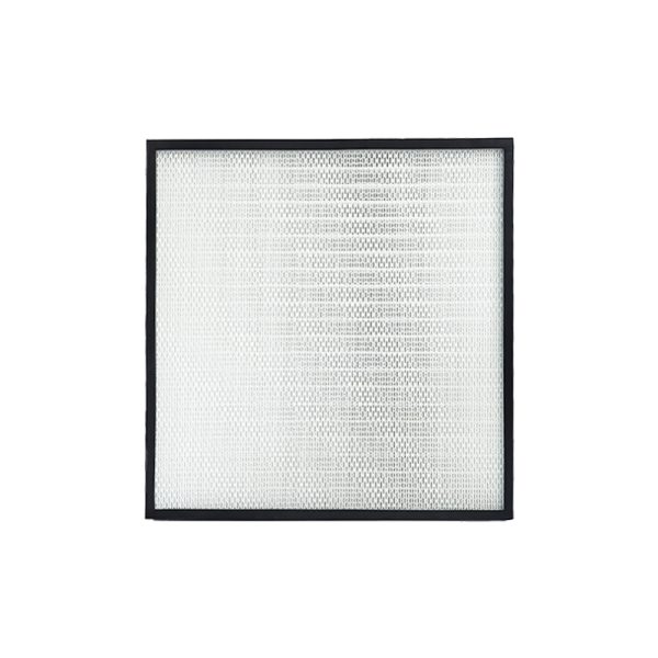 HEPA Filter/Mini-Pleat HEPA Filter
