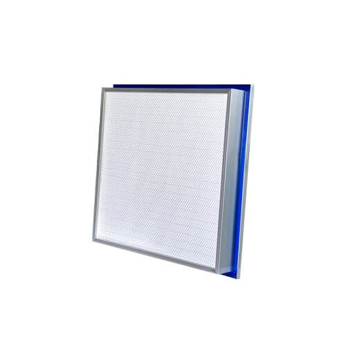 GMP Pass HEPA Filter