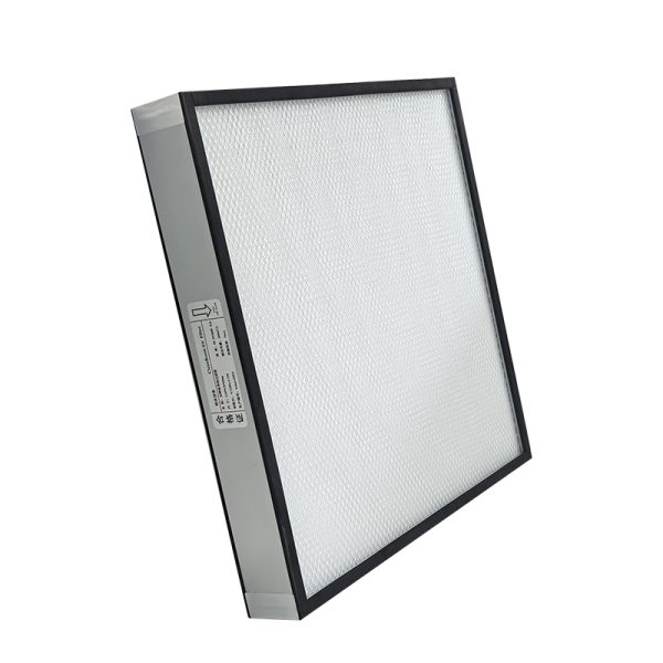 HEPA Filter/Mini-Pleat HEPA Filter