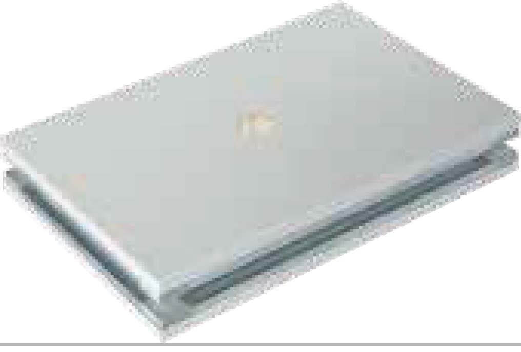 50mm Silicon Rock Cleanroom Panel